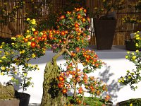 素晴らしい作品