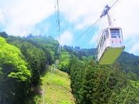 DSC 2371 00019