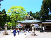 DSC 2401 00029