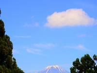 DSC 2419 00037