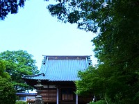 DSC 2588 00014