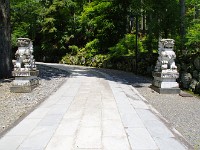 IMG 4217