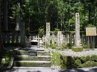 IMG 4223