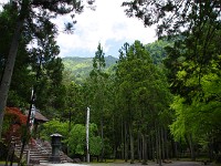 身延山山頂を望む・・・大聖人もここからのぼられたのか