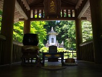 IMG 4250