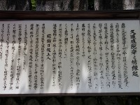 IMG 4274