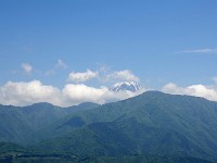 IMG 4282