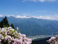 躑躅が綺麗でした