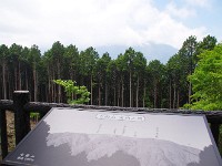 雲に隠れて見えません！