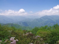 微かに白根三山？
