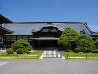 IMG 4355