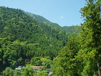 IMG 4372