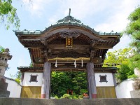 やっと、来ましたよ