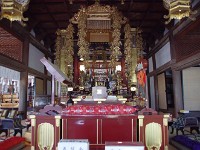 IMG 4393