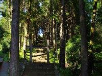 趣ある参道・階段。