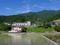 ２両編成の身延線を見つけた！