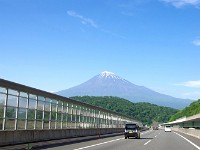 IMG 4422