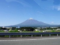 見事なフォルム！　久し振り！！