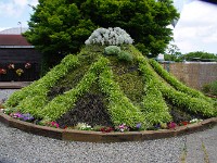 IMG 4498
