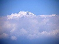 望遠で１枚