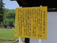 IMG 4528