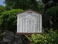 IMG 4531