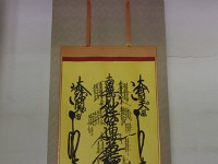IMG 4536
