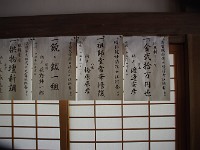 IMG 4537