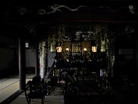 IMG 4554