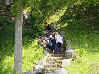 IMG 4568
