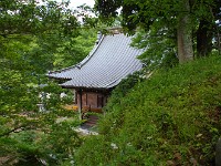IMG 4570