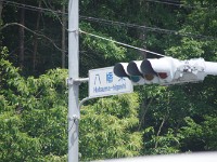 IMG 4572