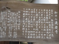 IMG 4581