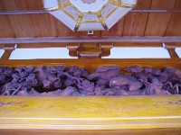 IMG 4592