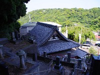 IMG 4600