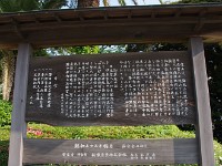 IMG 4613