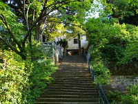 草庵へ