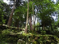 image003