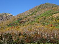DSC01695