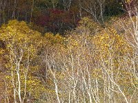DSC01707