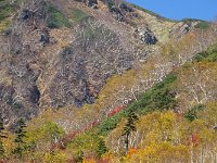 DSC01709