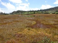 DSC01717