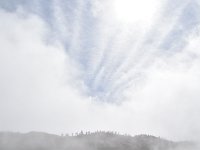 DSC 0120