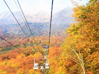 見事な紅葉