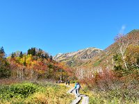 秋の湿原