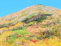 真っ盛り