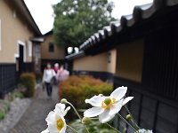 DSC 0865