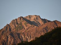 朝日を浴びて・・・凛々しいね