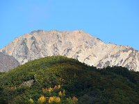 300mｍの効果