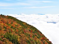 紅葉の盛り？